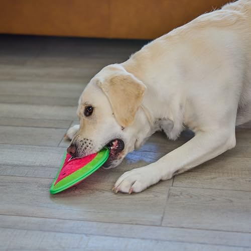 Outward Hound Tough Skinz Durable Chew Squeaky Dog Toy, Watermelon, 9.8" - color: Watermelon, size: Medium