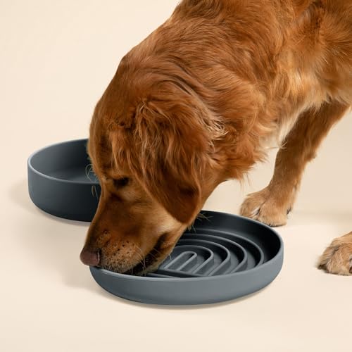 Slow Feeder Dog Bowl - Silicone Dog Bowl, Large, 9.5" x 1.5" - Charcoal - color: Charcoal - Rainbow Design, size: Large (9.5” Across and 1.5” Tall)