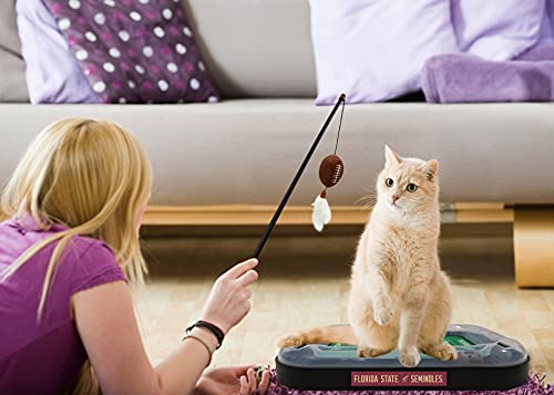 Pets First 5-in-1 Cat Toy: Interactive Cat Scratcher with Catnip Filled Plush Football & Feathers - color: Florida State Seminoles, size: Football Field