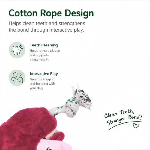 Green Sheep Puppy Plush Dog Toy, No Stuffing Squeaky Toy with Recycled Cotton Rope for Teething, Comfort and Gentle Play, Small Dogs and Puppies, Chew Toy, Mushroom - color: Mushroom