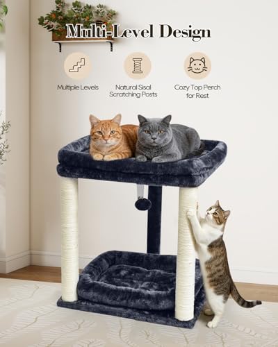 SYANDLVY Small Cat Tree for Indoor Cats with 2 Levels Perch Platforms - color: Smoky