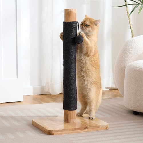 29" Tall Solid Wood Cat Scratching Post for Indoor Cats, Extra Stable Heavy Base, Natural Sisal Scratcher with Hanging Ball, Furniture Protector for Kittens & Adult Cats, Beige - color: Black