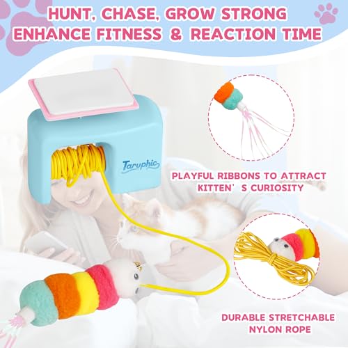 Interactive Cat Toy for Indoor Cat, Automatic Door Hanging Cat Toy with Detachable Design, Kitten Toys for Indoor Cats Self Play, 3.27 * 1.69 * 2.76Inch (Sky Blue)