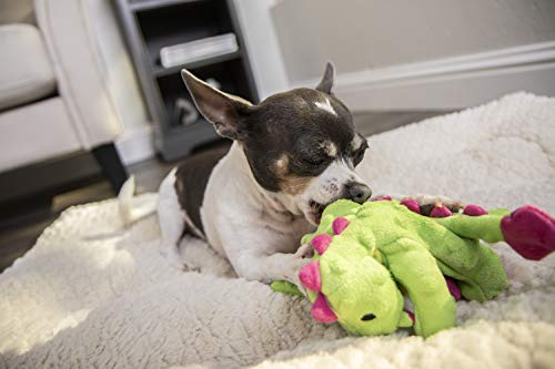 goDog Bubble Plush Dragons Squeaky Dog Toy, Chew Guard Technology - Bright Green, Small - color: Bright Green, size: Small