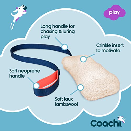 Coachi Chase & Crinkle - A Fun Enrichment Dog Toy for Chase & Play - style: Chase & Crinkle