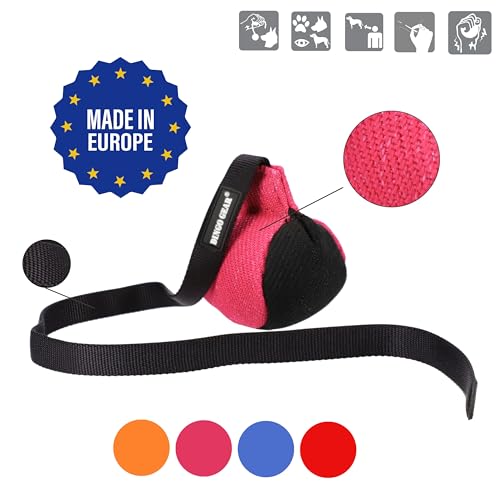 Dingo Gear Dog Ball with Long Handle, French Linen, Pink 29 in - color: Pink-Black