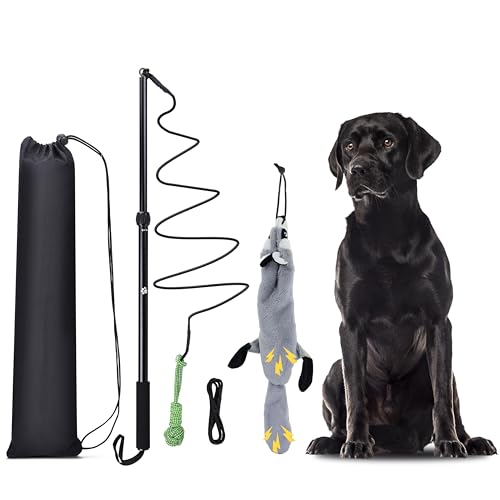 Flirt Pole Dogs, Dog Chase Toy with Squeakers Inside, Dog Fishing Pole Toy for Large Medium Small Dogs to Keep The Puppy Entertained and Physically Exhausted, Ball+Beaver - style: Ball+Beaver