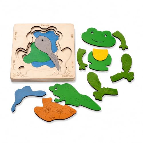Life Cycle of a Frog 15 Piece Wooden Multilayered Jigsaw Puzzles for Kids Educational Toy and Gift for Boys & Girls 3 Years and Above - style: Lifecycle of a Frog