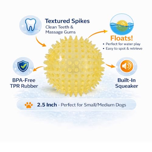 Squeaky Spiky Dog Ball for Teeth Cleaning & Gum Massage 2.5 Inch Small Medium Dogs Yellow | Spiny TPR Rubber Chew Toy for Fetch Play Interactive Bouncy Dental Ball Durable BPA Free Nontoxic Floats - size: Yellow Ball 1-Pack