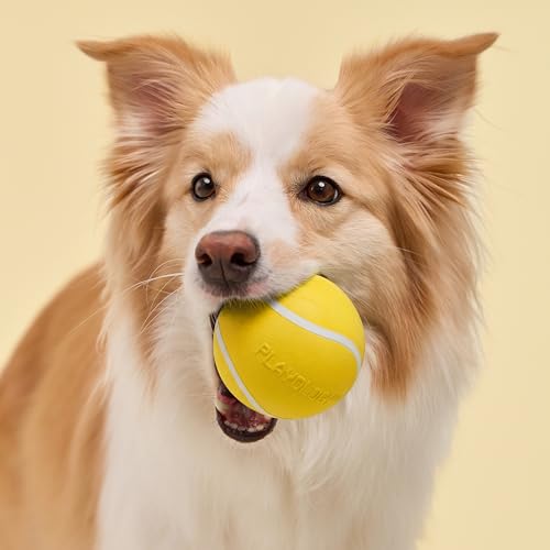 Playology Squeaky Chew Ball Dog Toy - Jumbo, Chicken Scent - size: Jumbo, style: Chicken