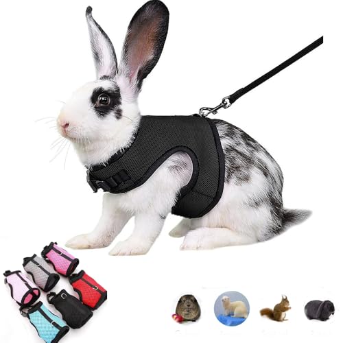 Rabbit Leash and Harness Escape Proof Bunny Harnesses Mesh Vest Black M - color: Black, size: M (Neck:5.5"-7" Chest:6.2"-8.5")