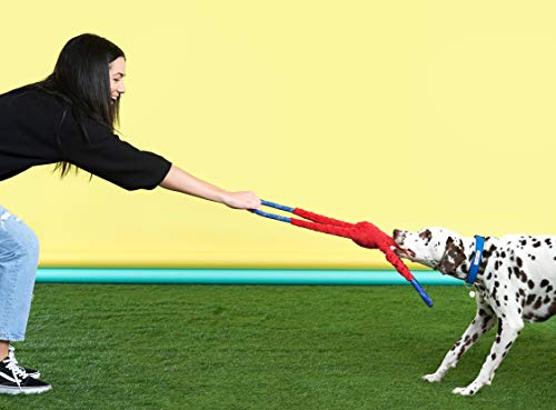 ZippyPaws RopeTugz Durable Dog Pull Rope Toy - Blue Monkey - color: Blue, size: 28 x 5 x 5 in