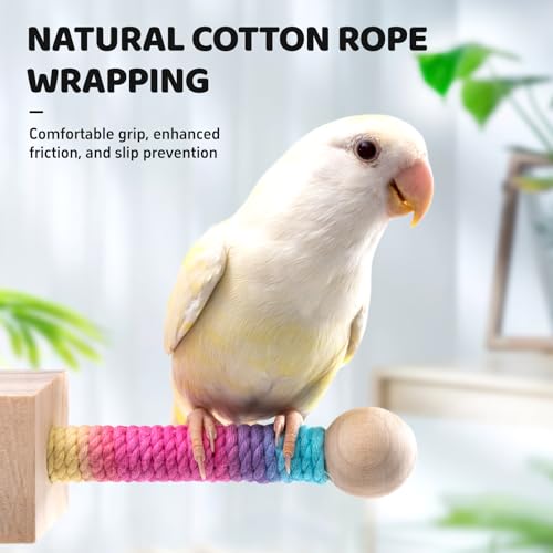 2 PCS, Hanging Bird Perch Toy & Poplar Bird Swing, Parrot Toys for Cage