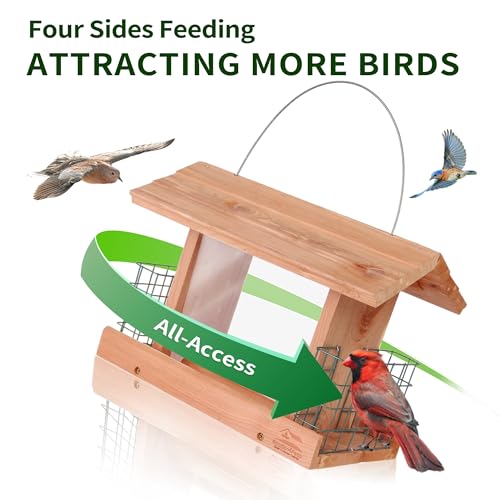 Solution4Patio Squirrel-Proof Cedar Hopper Bird Feeder, Dual Suet Holder - style: Rectangle