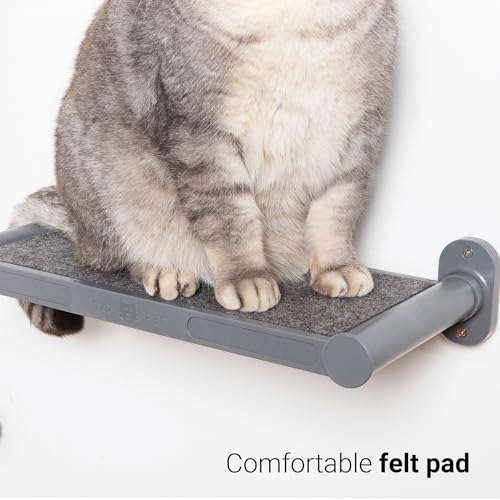 SVD.PET Cat Wall Shelves, 17" x 8" Wall Furniture with Felt Pad, Modern Design, Easy to Install & Clean, Cat Perch for Sleeping & Playing (Dark Grey) - color: Dark Grey, size: Cat Shelf
