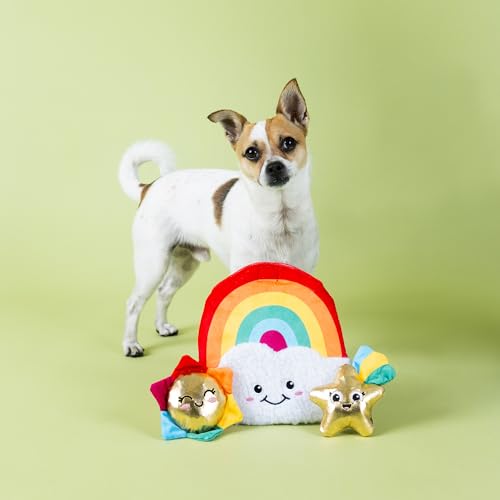 Fringe Studio Look ON The Bright Side Hide and Seek Plush Dog Toy, Pet Shop Collection (289258) - color: Bright Side