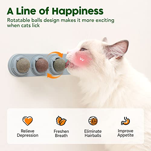 Potaroma 4 Catnip Silvervine Ball Toys, Extra Cat Energy Ball