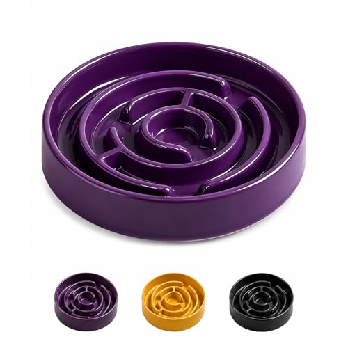 Ceramic Slow Feeder Dog Bowl,1.5 Cups Pet Slow Feeder for Small and Medium Breed,Puzzle Dog Food Dish,Anti-Gulping,Stop Bloat,Preventing Choking(Purple) - color: Purple