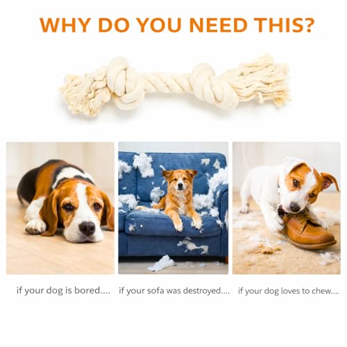 Dog Rope Toys for Large/Medium Aggressive Chewers, Tough Cotton Chew Toy, 39 Inch 5 Knots Indestructible, Tug of War Dog Pull Rope Teeth Cleaning (2 Knots (Pack of 2)) - size: 2 knots (Pack of 2)