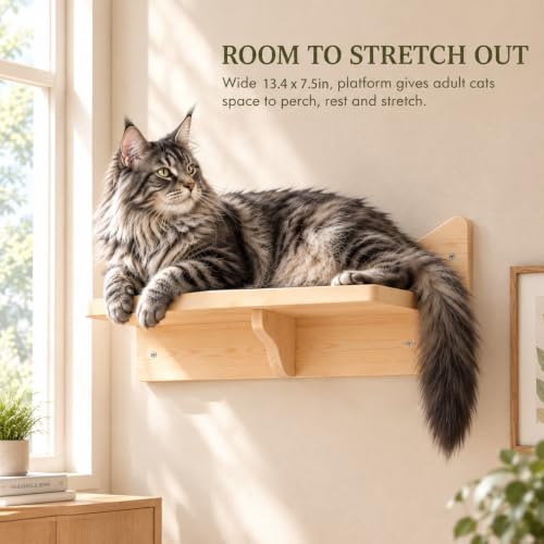 Cat Wall Shelves, 2-Piece Cat Wall Step for Large Cats - size: 2 pcs