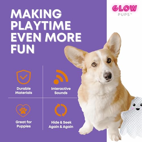 Glow Pups Halloween Hide and Seek Dog Toys, Orange Pumpkin