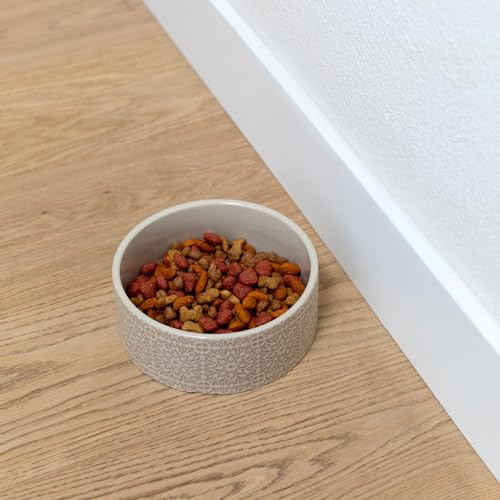 Fringe Studio Sevilla Tile Sand Medium Ceramic Imprinted Pet Bowl (6.5" Diameter x 2.5" H, 26 fl.oz.), PetShop Collection (785MD001) (Pack of 2) - color: Sevilla Tile Sand, size: Medium (Pack of 2)