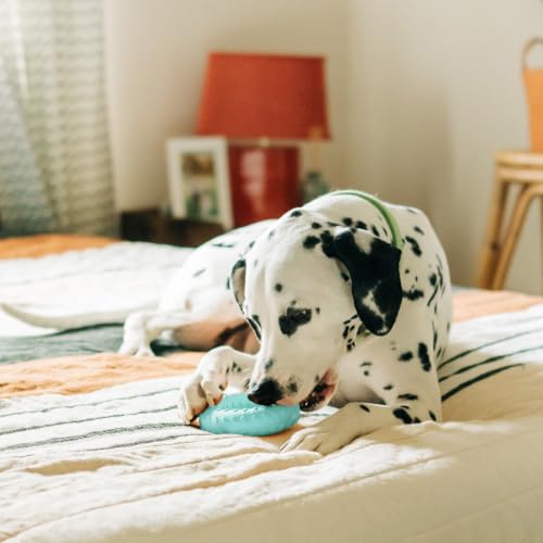 Playology Dual Layer Ring Dog Toy - Peanut Butter Chew Toy - Jumbo Blue - size: Jumbo, style: Peanut Butter
