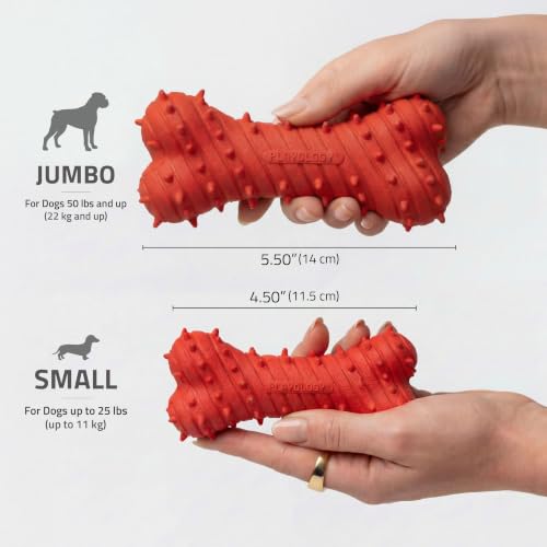 Playology Puppy Teething Bone Dog Chew Toy - Jumbo, Beef Scent - size: Jumbo, style: Beef