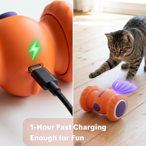 Interactive Cat Toys, Puppy Dog Toys - color: Orange