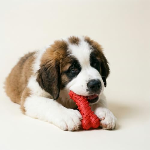 Playology Puppy Teething Bone Dog Chew Toy - Jumbo, Beef Scent - size: Jumbo, style: Beef