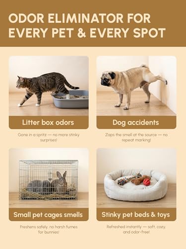 Pet Odor Eliminator Spray & 10X Concentrate Kit - Makes 110oz Total