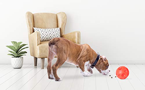 Omega Paw Authentic Tricky Treat Ball Small 2.5" Size, Small (Pack of 8) - size: Small (Pack of 8)