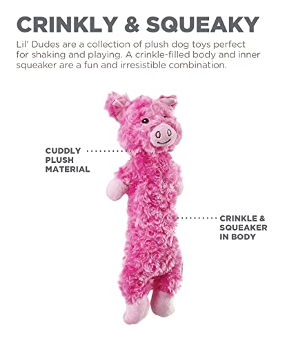 Outward Hound by Charming Pet Lil' Dudes Pig Plush Squeaky Dog Toy - color: Lil' Dudes Pig, size: 1 Count