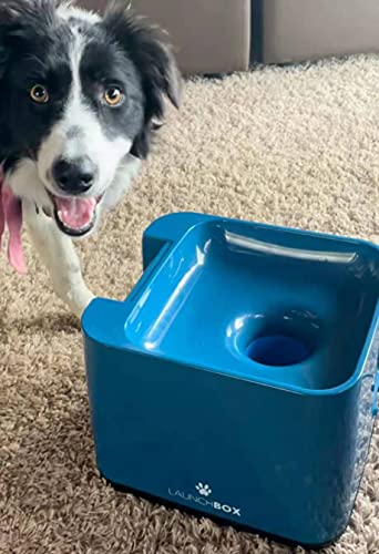 Automatic Dog Ball Launcher,Tennis Ball Launchers for Most Sized Dogs who Could Carry 2.5" Balls,Interactive Toys Dogs, Rechargeable,Remote Control