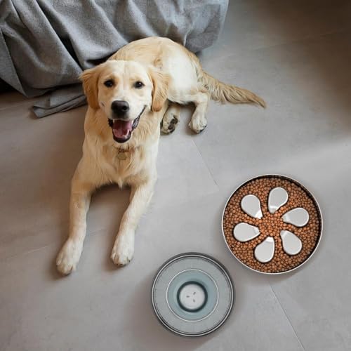 Feedoo Slow Feeder Dog Bowl 3.5-Cup, Food-Grade 304 Stainless Steel, 1-Pack - color: Flower-1Pack