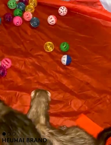 10 Pack Hollow Plastic Play Balls, Assorted Shapes for Ferrets - size: 1.5'' - 2.7''