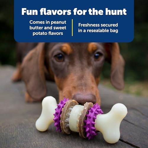 PetSafe Busy Buddy Dog Treat Rings, Small, Size A, 16 Count