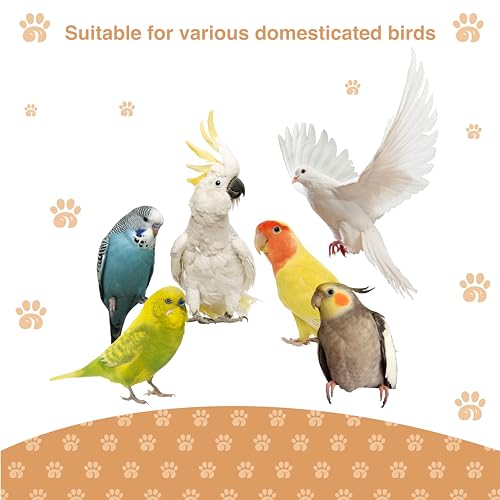 Bird Ladder Perch for Cage - Natural Wooden Bridge, Exercise Stands for Parrot Climbing - Pet Training Ladders - Hanging Playground -Toys for Parakeet, Cockatiel, Conures, Lovebirds, Budgie