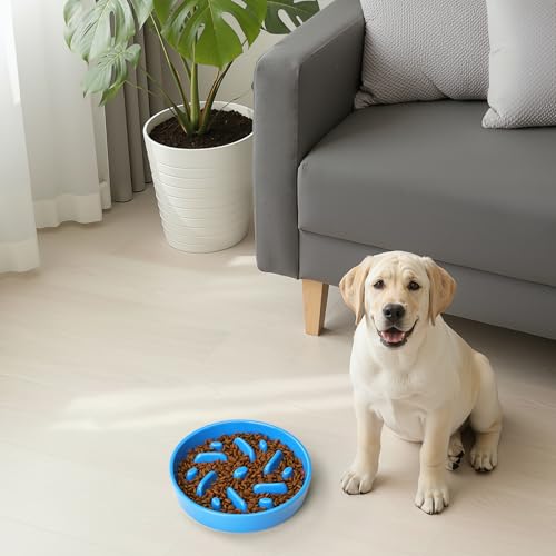 Ceramic Slow Feeder Dog Bowl, 2 Cups Maze Puzzle Dish to Slow Down Eating - color: Maze - Blue
