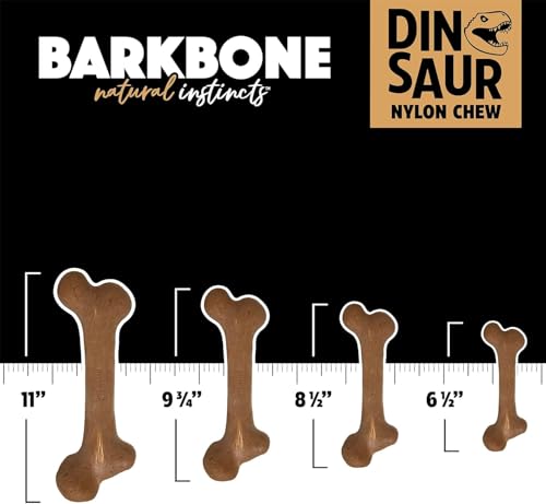 Pet Qwerks Dinosaur BarkBone Nylon Dog Chew, Bacon Flavor, Medium 8.5in - size: Medium