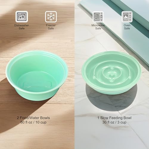 Elevated Dog Bowl Stand with 3 Large Ceramic Bowls – Raised Feeding Station for Medium & Large Dogs, Includes 2 Standard Bowls + 1 Slow Feeder, Durable Iron Frame, Non-Slip (Lucite Green) - color: Lucite Green