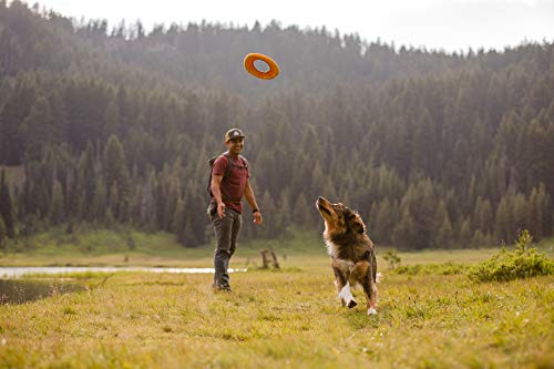 Ruffwear, Hydro Plane Flying Disc Dog Toy, Biolumin Blue, 12", Large