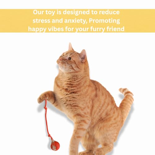 Interactive Cat Toy Ball – Automatic Self-Moving, Motion-Activated, USB-Rechargeable, Quiet LED Chase Modes, Indoor Exercise & Enrichment for Bored Cats & Kittens