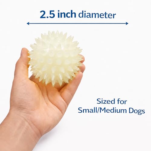 Squeaky Spiky Glow in the Dark Dog Ball for Teeth Cleaning & Gum Massage 2.5 Inch Small Medium Dogs | Spiny TPR Rubber Chew Toy Fetch Play Interactive Bouncy Dental Ball BPA Free Nontoxic Floats - size: Glow Ball 1-Pack
