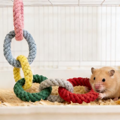 Sugar Glider Toys, Cotton Rope Climbing Rings, Colorful Hanging Toy