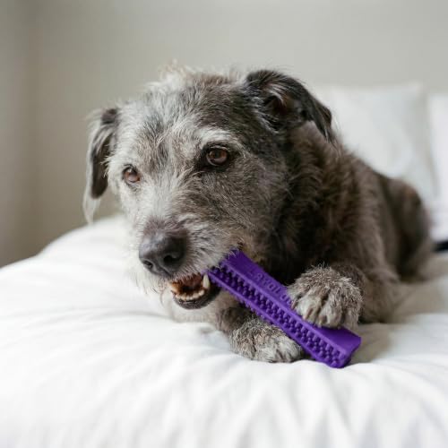 Playology Dental Chew Stick for Senior Dogs - Pork Scented - Medium - size: Medium Chew Stick, style: Pork Sausage