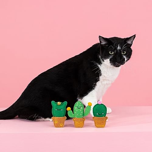Fringe Studio Plush Cat Toy Set, Cat-Us Friends, Mini 3 Piece Set, Pet Shop Collection (904033) - color: Cat-Us Friends