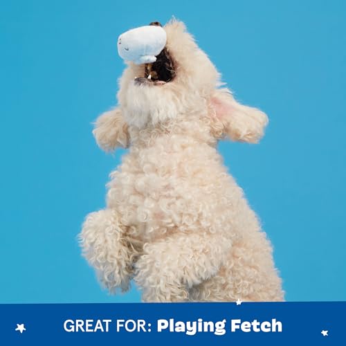 BarkBox Andi's Dumplings 4-in-1 Interactive Plush Dog Toy - color: Andi's Dumpling - Small