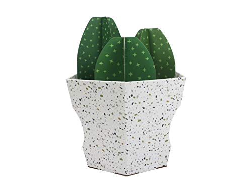 American Cat Club Cat House with Scratcher & Catnip included - Cactus Den - style: Cactus Tree