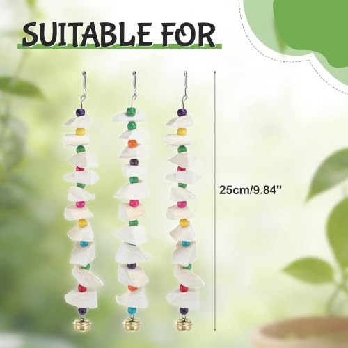 Bird Toys with Cuttlebone, Grinding Stone for Bird, 3 Pcs